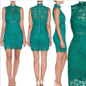 Bardot Paris Lace Body Con Dress in Greenlake Size 6